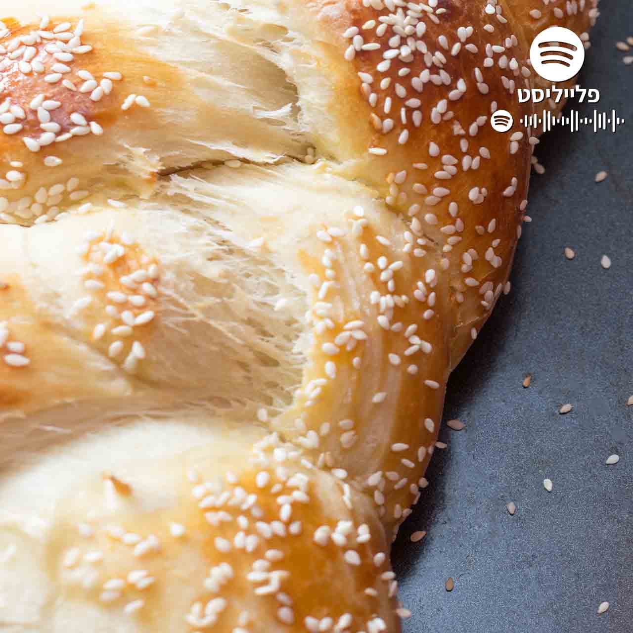 פלייליסט מוזיקה לשבת לאתר